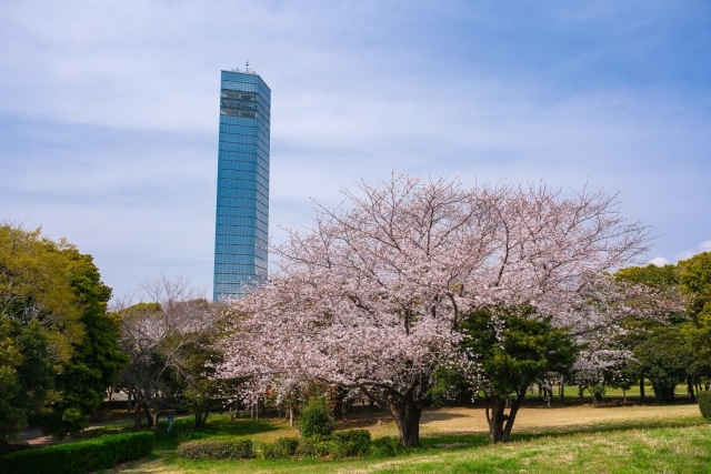 千葉県のリノベーションポイント