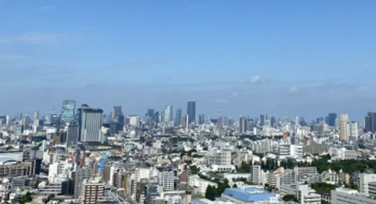 東京都のリノベーションポイント